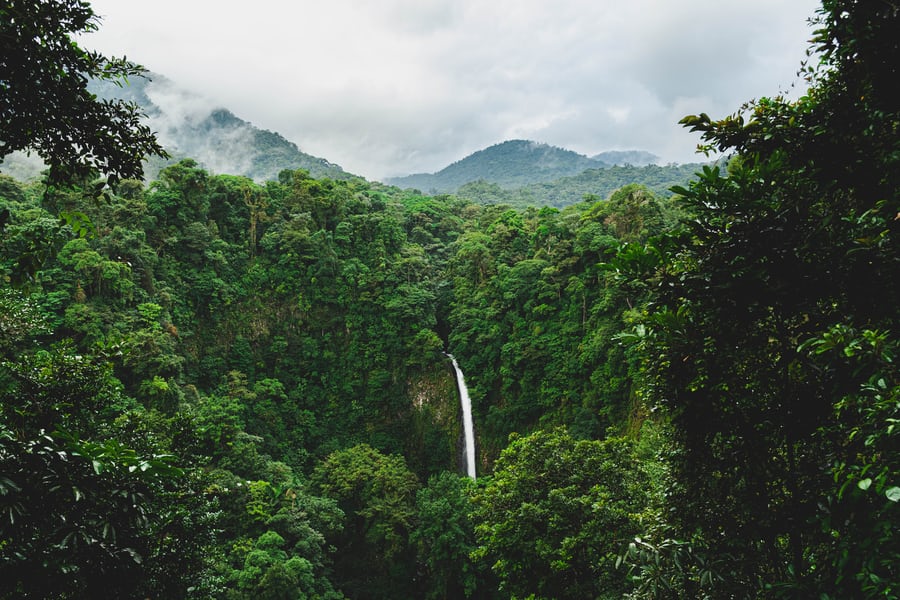 De gröna skogarna i Costa Rica som blommat efter att världspolitiken tagit sitt ansvar.